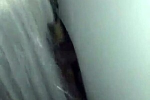 mature tranny sucks big cocks in oral cumshot compilation