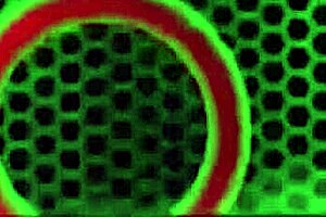 red august's big ass bouncing hard on that cock