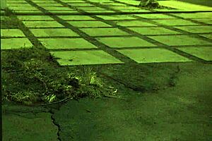 Stranded teen amateur roughfucked outdoors in domination