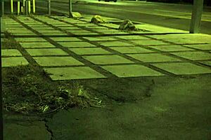 Stranded teen amateur roughfucked outdoors in domination