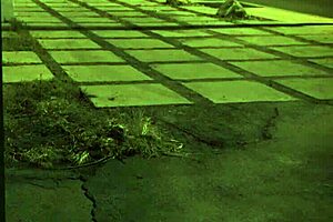 Stranded teen amateur roughfucked outdoors in domination