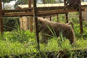 strange park meeting with huge cock filling mouth and ass