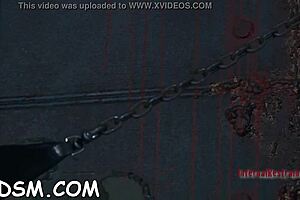 Inflicting Pleasure On Babe's Slit With Blowjob And Hardcore Fucking