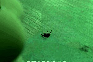 Where it all began in the game