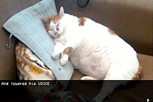 worst dating sim game with silly gay comedy and muscular hunks