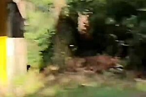 Snuck into an abandoned house and had wild sex non-stop!