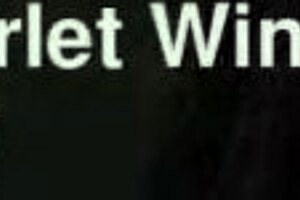 superhot teacher scarlets strips lingerie, rips clothes, masturbates to orgasm