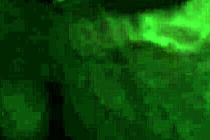 Feeling the intense pleasure of a long penis blowjob