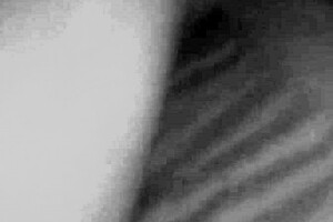 i'm the dominant wife squeezing and humiliating those small cocks for bad behavior