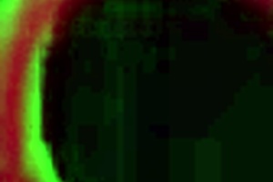 Aliya Brynn Swallows Rome Major's Cum After Deep Throat