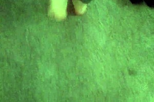 beautiful girl flashes cock in garage and starts sucking eagerly. her skills impress instantly.