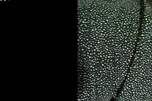 i sneaked into stepbrother's room feeling excited