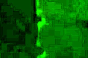 my first time with this teen amateur, close up view