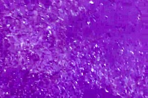 dirty calloused soles