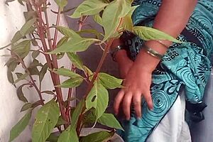 Priyanka Porn Aunty Super Blowjob In Dorm With Roommate 😍