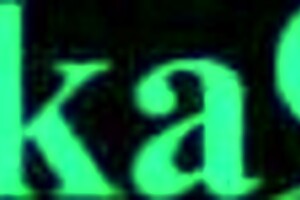 Ouro kronii and kiryu coco in a hololive vtuber pov scene