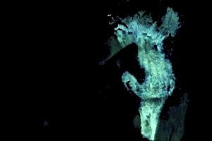 Vintage Lesbians Lick Hairy Beavers!