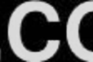 Hell Yeah! Dr Tampa Examines Lotus Lain's Body!