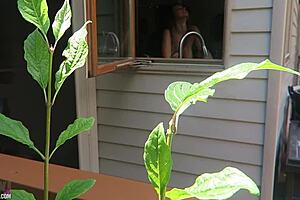 nikki fucked from behind