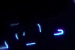 棕发熟女和闺蜜出轨，奶子沾满精液