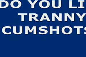 Big Shooter Ladyboy Performer