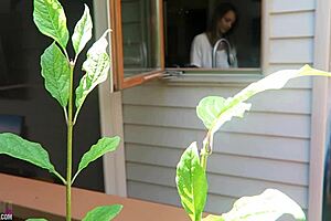 nikki fucked from behind