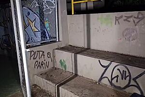 Monica lima demonstrates public dogging with two men