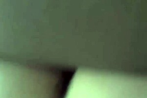 Pawg In Car For Thanksgiving