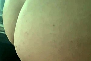 Pawg In Car For Thanksgiving