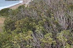 Petite milf gives outdoor blowjob during wild nature trip in Cyprus