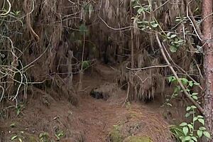 OMG, gf cheats with huge BBC and gets creampied in woods! 😈