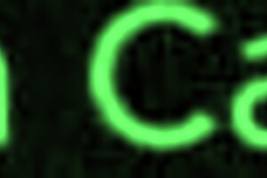 Carnival 2025 led to banging a married chick after the blocks!