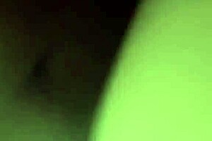 Pawg In Car For Thanksgiving