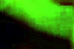 Fat Mature BBW Sucks Young Cock