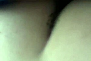 Pawg In Car For Thanksgiving