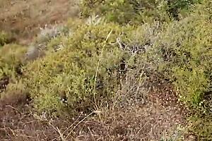 Petite milf gives outdoor blowjob during wild nature trip in Cyprus