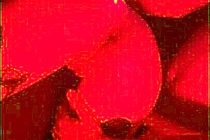 Buttlife2 - Explore Ass Play With Huge Milf