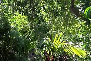 Oh, Mandy Sky really loves tasting her step daddy's spunk, doesn't she?