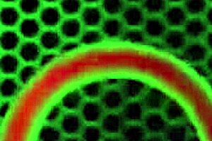 Sara Jay Twerks Her Ass