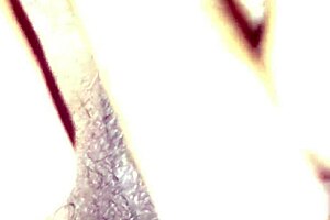 Sexy shaved nurse achieves orgasm from tight pussy creampie.