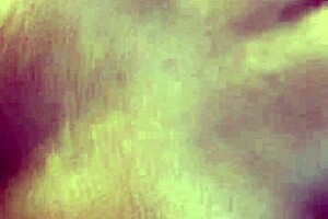 Latina twin's big ass and pussy go viral online