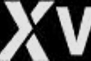 Sex in the subway, a daring and exciting act