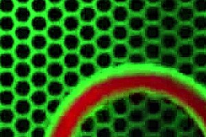 Jelena Jensen's Anal Solo Play!