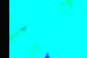 Chilean Big Ass Doggystyle Bent Over