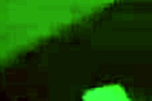 Happy Friday, let's hookup and have paid fun, shake what your mama gave you, Slimthi