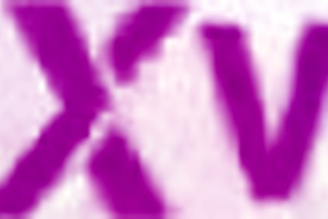 Cheerleader Vivian Lola performs in a school event with intense group activities and finishes with a team celebration.