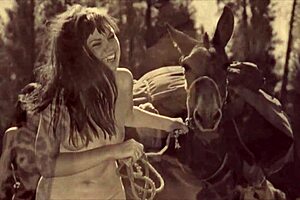 victorian gentleman's erotic confessions from his secret life