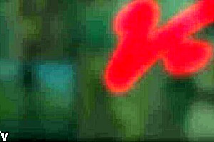 Beautiful ebony ass hidden in candid shots