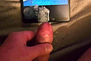 mark bored tribute to pasticcioni