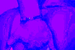 Bleu room, are you ready for this anal solo finger fuck?